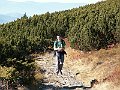 Orava 069